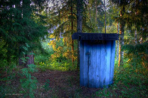 Magic toilet at Irbis's (http://irbis-ru.livejournal.com/) old summer cottage...