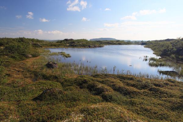 It was the northenest part where I took all my courage to have a swim :P