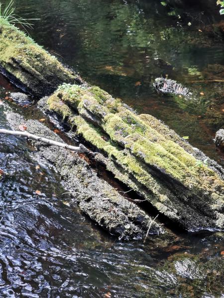 hdr