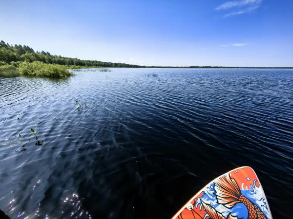 _cuva