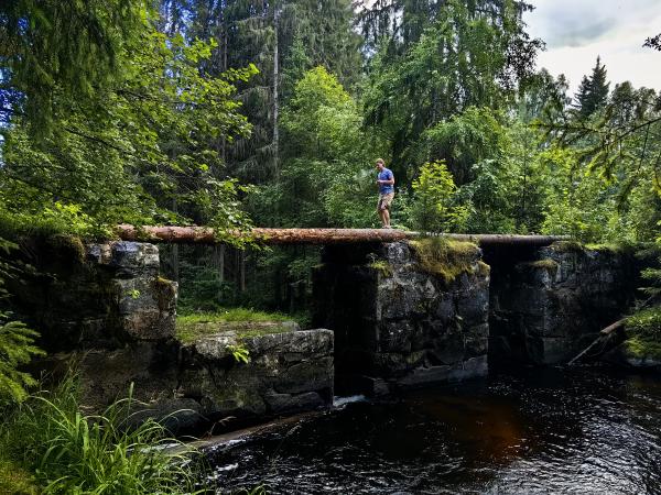 2024.07 - Leningrad region and Karelia