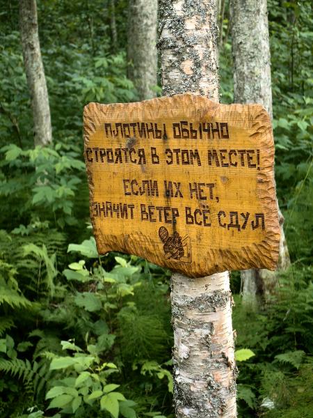 _cuva
